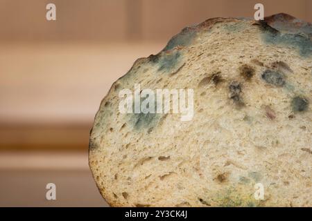 Pain coupé rassis, gâté et moisi sur une table de cuisine. Gros plan, faible profondeur de champ, personne. Banque D'Images