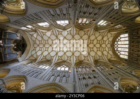 Fisheye, vue intérieure, plafond, Wells Cathedral, Wells, Angleterre, Grande-Bretagne Banque D'Images