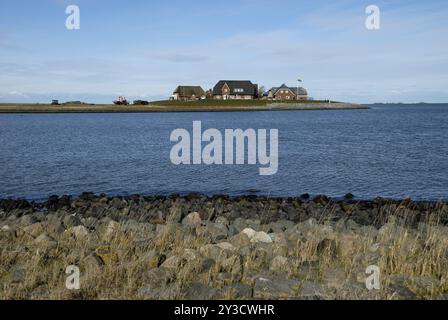 Hilligenley on the Hallig Langeness, Schleswig-Holstein, Allemagne, Europe Banque D'Images