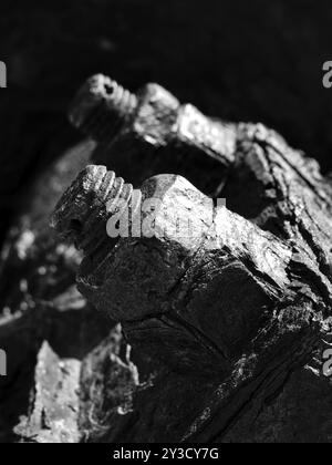 Gros plan monochrome de boulons et d'écrous filetés rouillés sur de vieilles machines corrodées Banque D'Images