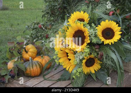 Nature morte d'automne, tournesols, citrouilles, récolte d'automne, tournesol, Pumpins Banque D'Images