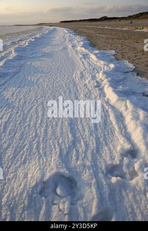 Surf gelé sur la plage de Hoernum, Sylt, Schleswig-Holstein, Allemagne, Europe Banque D'Images