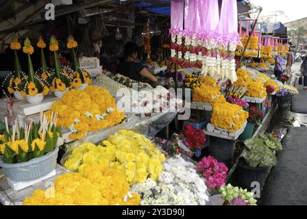 Fleurs au marché Warorot, Chiang mai, Thaïlande, Asie Banque D'Images