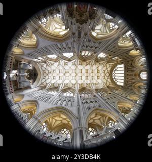 Fisheye 360, vue intérieure, plafond, Wells Cathedral, Wells, Angleterre, Grande-Bretagne Banque D'Images