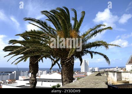 Vue de l'Ermida de Nossa Senhora da Mae Deus à Ponta Delgada, Sao Miguel Banque D'Images