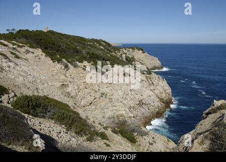 Côte rocheuse près de Cala Rajada, Majorque, Espagne, Europe Banque D'Images