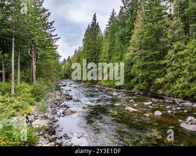 Vue de la rivière Snoqualmie depuis un drone à North Bend, Washington. Banque D'Images