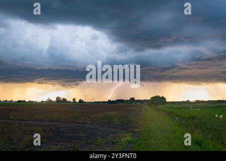 Le foudre frappe à partir de la base d'un orage sur le cœur vert de la Hollande à l'heure dorée avant le coucher du soleil Banque D'Images