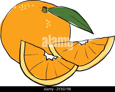 illustration dessinée à la main d'oranges Illustration de Vecteur