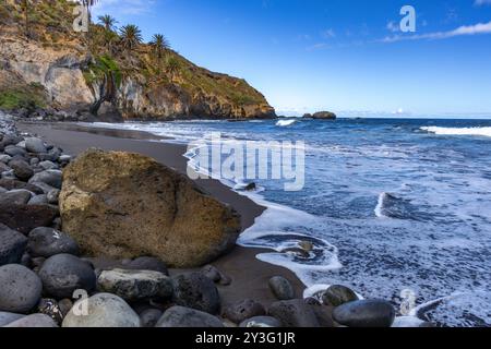 Plage avec sable volcanique noir, palmiers verts sur la pente, vagues dangereuses, océan Atlantique, Castro Beach Playa Castro Teneriffe Espagne Banque D'Images