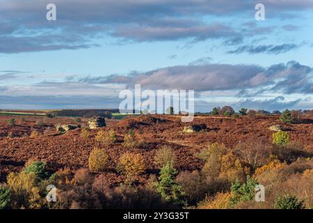 Bridestones sur les North York Moors Banque D'Images