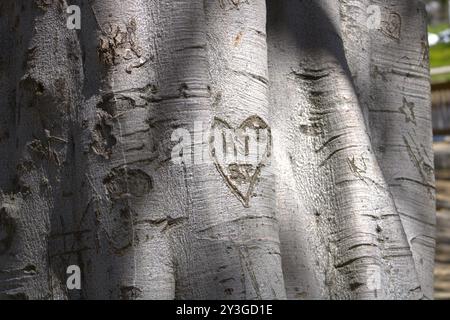 couples initiales romantiques sculptées sur le tronc d'arbre Banque D'Images
