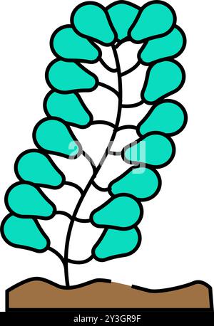 caulerpa lentillifera seaweed icône couleur illustration Illustration de Vecteur