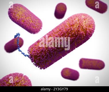 Illustration des particules du virus Chandipura (CHPV). Il a été nommé d'après le village où il a été identifié pour la première fois, le village de Chandipura dans le Maharashtra, en Inde, lors d'une épidémie d'encéphalite en 1965. Le virus provoque une maladie grippale qui progresse rapidement et une encéphalite aiguë, conduisant souvent au coma et à la mort chez les humains. Elle est transmise par des vecteurs tels que les mouches des sables, les moustiques et les tiques. Le CHPV a une structure en forme de tige, caractéristique de la famille des Rhabdoviridae. Banque D'Images