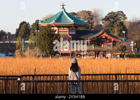Temple Bentendo dans le parc Ueno, Ueno, Tokyo, Japon. Banque D'Images