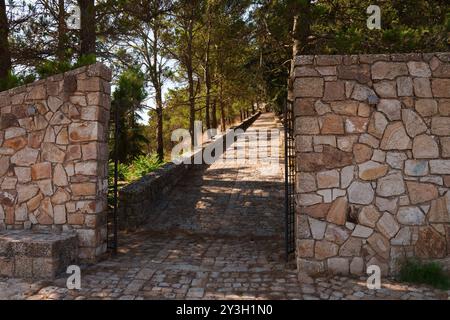 Chemin de pierre avec porte menant à travers un couloir bordée d'arbres Banque D'Images