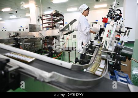 SUQIAN, CHINE - 13 SEPTEMBRE 2024 - Un travailleur produit du diclofénac sodique injecté dans une entreprise pharmaceutique de Suqian, province du Jiangsu, Chine, sept Banque D'Images