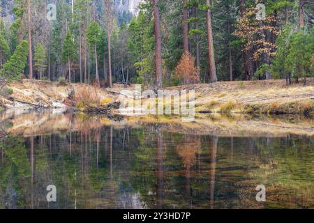 Réflexions automnales de la rivière Merced à Yosemite Valley. Parc national de Yosemite, Californie, États-Unis. Banque D'Images