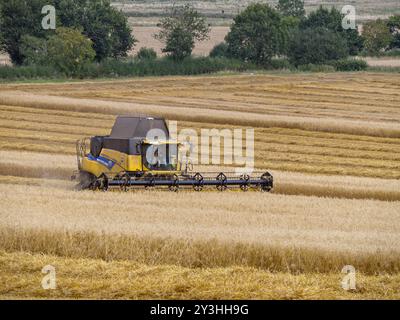 Moissonneuse-batteuse jaune New Holland série CR récoltant des céréales en été, Leicestershire, Angleterre Banque D'Images