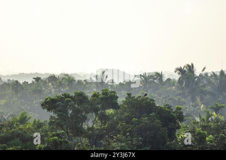 Décor naturel serein baigné de brume matinale. Les arbres luxuriants de la forêt tropicale et les montagnes au lever du soleil créent une vue imprenable, percée par le soleil doré Banque D'Images