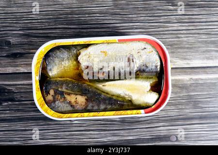 Conserves de sardines épicées dans l'huile végétale, ouverture facile, sardine poissons pilchards riches en nutriments, petit, gras poisson, une source d'acide gras oméga 3, fruits de mer Banque D'Images