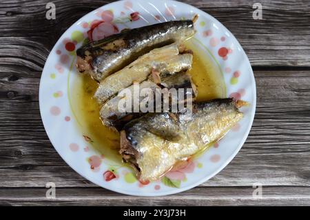 Conserves de sardines épicées dans l'huile végétale, ouverture facile, sardine poissons pilchards riches en nutriments, petit, gras poisson, une source d'acide gras oméga 3, fruits de mer Banque D'Images