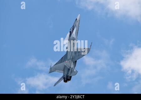 Le chasseur CF-188 Hornet de l'Aviation royale du Canada 736 du 425e escadron de chasse tactique s'affiche pendant le tatouage aérien international royal Banque D'Images