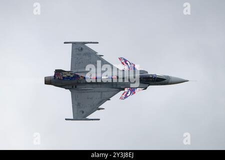 Combinant une aile Delta et des ailettes canard avant, le Saab JAS 39 Gripen est un chasseur multirôle extrêmement agile Banque D'Images