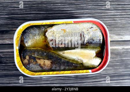 Conserves de sardines épicées dans l'huile végétale, ouverture facile, sardine poissons pilchards riches en nutriments, petit, gras poisson, une source d'acide gras oméga 3, fruits de mer Banque D'Images