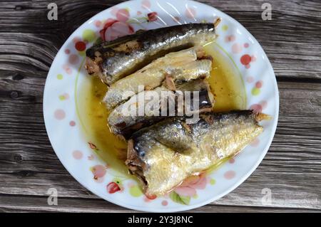 Conserves de sardines épicées dans l'huile végétale, ouverture facile, sardine poissons pilchards riches en nutriments, petit, gras poisson, une source d'acide gras oméga 3, fruits de mer Banque D'Images