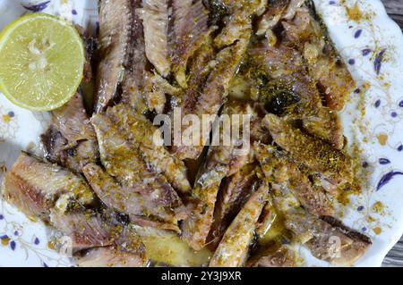 Conserves de sardines épicées dans l'huile végétale, ouverture facile, sardine poissons pilchards riches en nutriments, petit, gras poisson, une source d'acide gras oméga 3, fruits de mer Banque D'Images