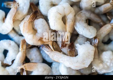 Crevettes crues congelées. Texture : fond de crevettes royales. Fruits de mer sur le comptoir. Marché aux poissons. Gros plan sur les fruits de mer. Photo de crevettes dans un supermarché. Entier Banque D'Images