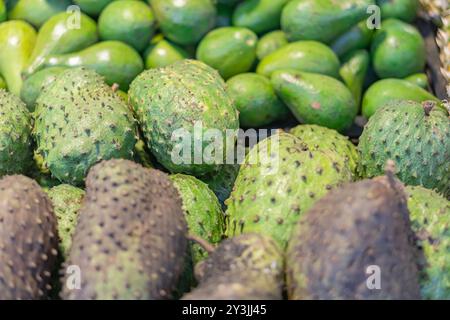 Une vivacité de fruits verts, y compris des chimères vertes épaisses et des avocats à la peau lisse, disposés dans un cadre de marché. Banque D'Images