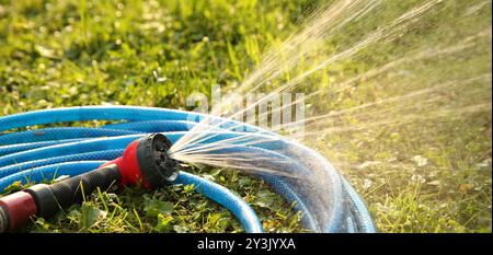 Pulvérisation d'eau à l'extérieur à l'aide d'un tuyau sur de l'herbe verte Banque D'Images