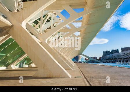 Valence, Espagne - 15 octobre 2021: Le Musée des civilisations principe Felipe ou le Musée des Sciences principe Felipe est un musée des Sciences de Valence, Espagne Banque D'Images