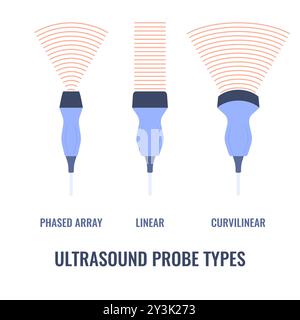 Sondes ultrasonores réglées pour diagramme échographique Illustration de Vecteur