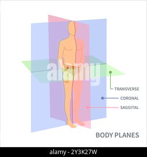 Plans d'acquisition pour le diagramme de position d'orientation du corps Illustration de Vecteur