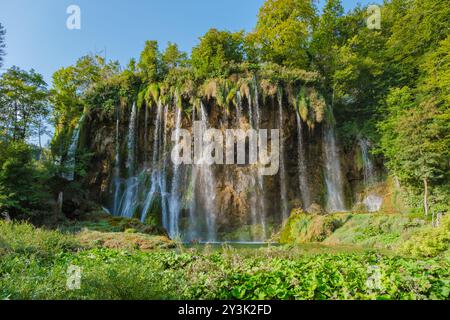 Le paysage serein des lacs de Plitvice révèle des cascades spectaculaires qui s'abattent sur des falaises luxuriantes, entourées d'une verdure vibrante. Les visiteurs apprécient la brume rafraîchissante tout en explorant les sentiers pittoresques. Banque D'Images