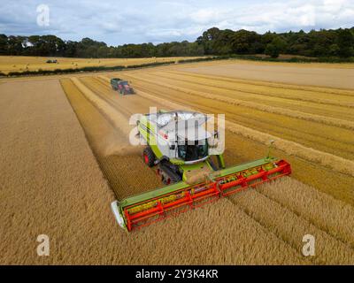 Vues aériennes d'une moissonneuse-batteuse travaillant dans les champs près de Rosyth à Fife., Écosse. Banque D'Images