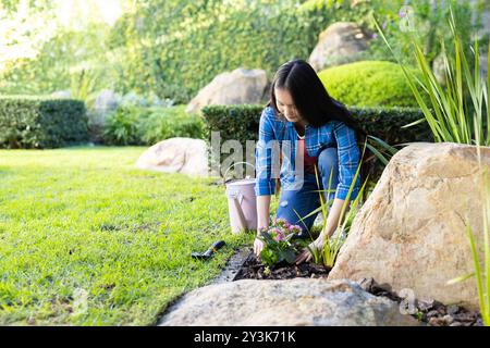 Profitant du jardinage en plein air, jeune femme asiatique plantant des fleurs dans le jardin Banque D'Images