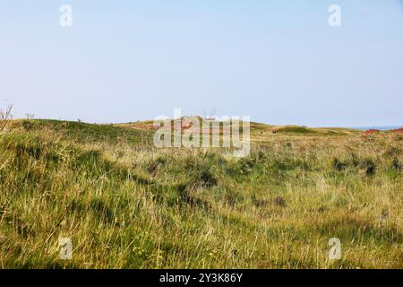 Sentier dans l'Oberland de l'île d'Helgoland dans le Schleswig-Holstein, Allemagne, Europe Banque D'Images