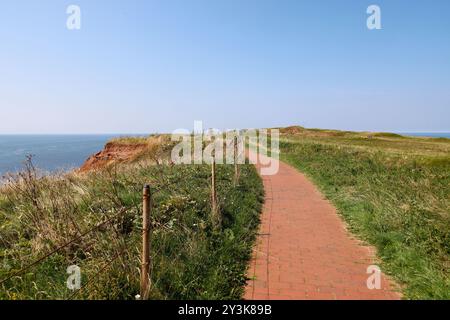 Sentier dans l'Oberland de l'île d'Helgoland dans le Schleswig-Holstein, Allemagne, Europe Banque D'Images