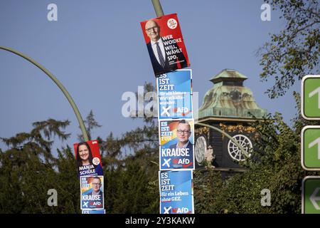 Élections d'État dans le Brandebourg de 2024 : les partis sollicitent des votes sur des affiches électorales. Potsdam, Brandebourg, Allemagne, Europe Banque D'Images