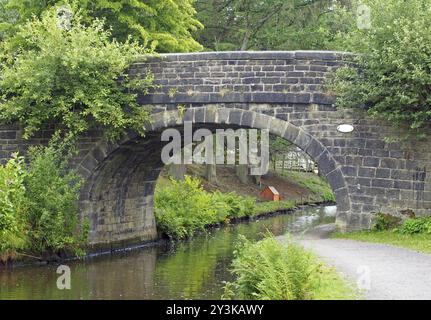 Un vieux pont de pierre traversant le canal de rochdale à mytholmroyd West yorkshire avec un sentier au bord de l'eau entouré d'arbres et de buissons Banque D'Images