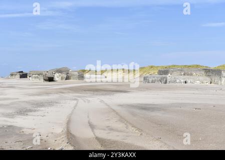 Bunker, Botonbunker du mur de l'Atlantique au Danemark sur la plage du Jutland Banque D'Images