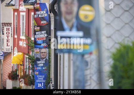 Élection d'État en Thuringe. Quelques jours après les élections, les affiches électorales du parti Alternative pour l'Allemagne (AFD) sont toujours en place à Zella-Mehlis. Le T Banque D'Images