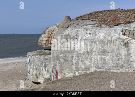 Bunker, Botonbunker du mur de l'Atlantique au Danemark sur la plage du Jutland Banque D'Images