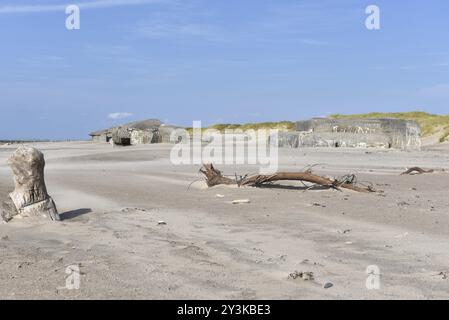 Bunker, Botonbunker du mur de l'Atlantique au Danemark sur la plage du Jutland Banque D'Images