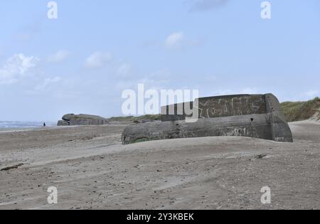 Bunker, Botonbunker du mur de l'Atlantique au Danemark sur la plage du Jutland Banque D'Images