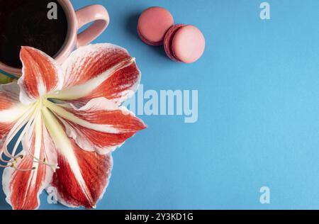 Fleurs rouge-blanche près d'une tasse de café chaud et de macarons rose sur un fond de couleur bleu. Directement au-dessus de voir with copy space Banque D'Images